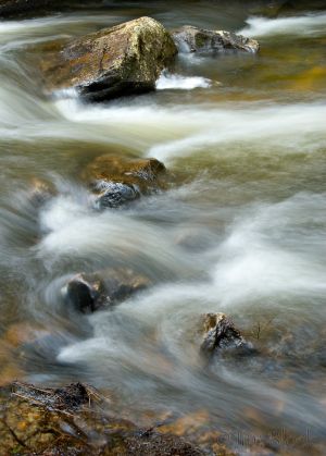 61  AQ210-Bicknell-Brook.jpg